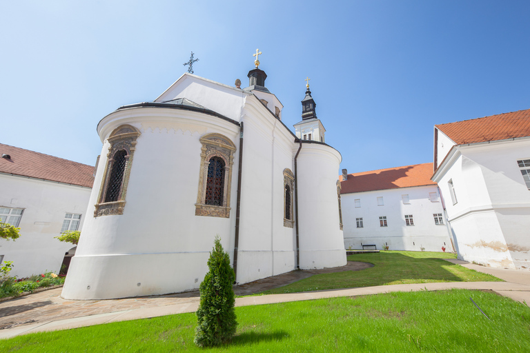 Da Belgrado: Sremski Karlovci e Novi Sad con degustazione di vinoTour condiviso