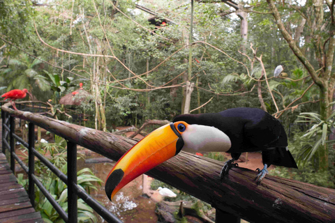 Bird Park Official Ticket