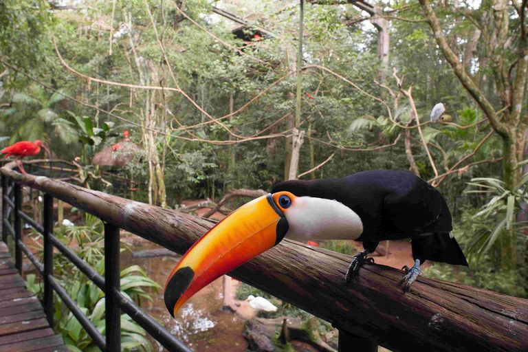 Bird Park Official Ticket