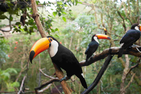 Bird Park Official Ticket