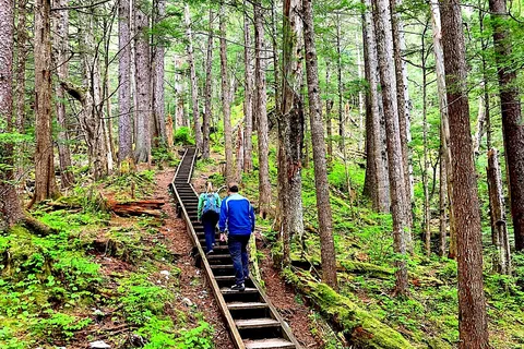 Guided Hike | TONGASS NATIONAL FOREST