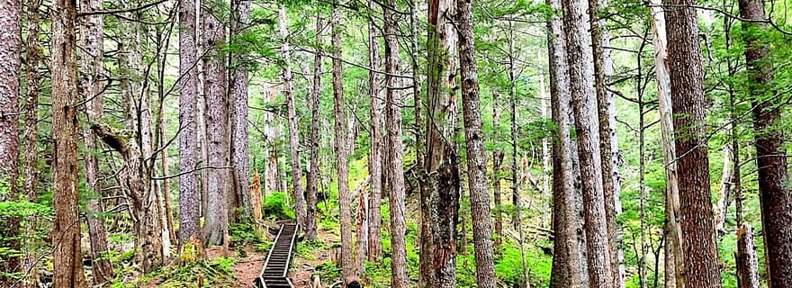 Randonnée guidée | TONGASS NATIONAL FOREST