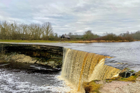 From Tallinn: Wild Swimming Trip with 4 Natural Waters