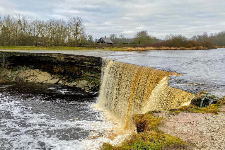 From Tallinn: Wild Swimming Trip with 4 Natural Waters