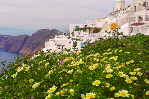 Santorini: tour privado de destinos populares con guíaOpción estándar