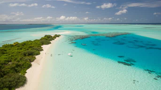 miami traghetto per bimini prelievo e pass per la spiaggia