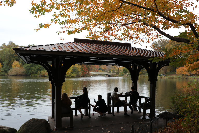 Excursão romântica/proposta de carruagem no Central Park até 4 adultosNova York: passeio romântico de carruagem no Central Park