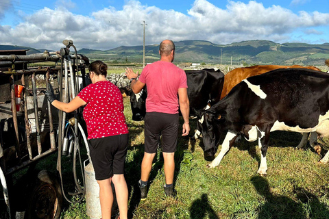 Isola di Terceira: Esperienza della Via del Latte e del FormaggioIlha Terceira: esperienza del latte e del formaggio con degustazione