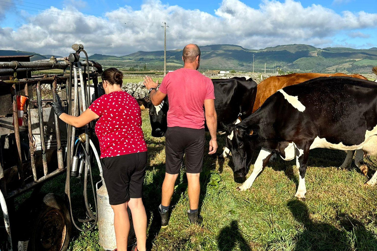 Eiland Terceira: Melk- en kaasroute belevenIlha Terceira: Melk- en kaasexperience met proeverij