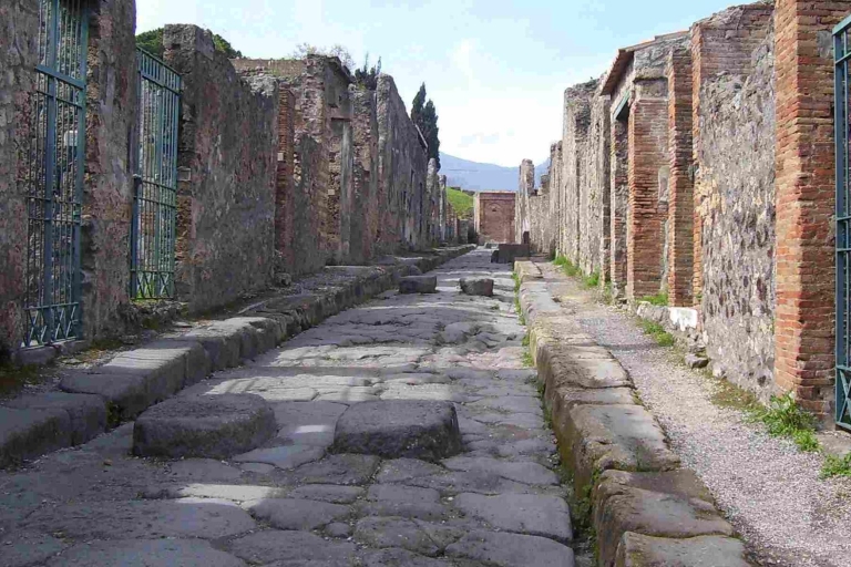 Desde Roma: tour de Pompeya con guía en vivo y todo incluidoTour en italiano