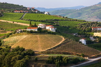 Da Peso Peso, Douro Valley Tour - Housity