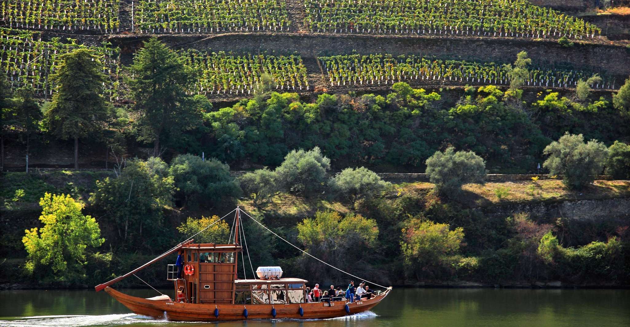 From Peso da Regua, Douro Valley Tour - Housity
