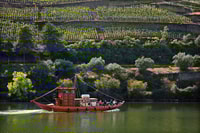 Da Peso Peso, Douro Valley Tour - Housity