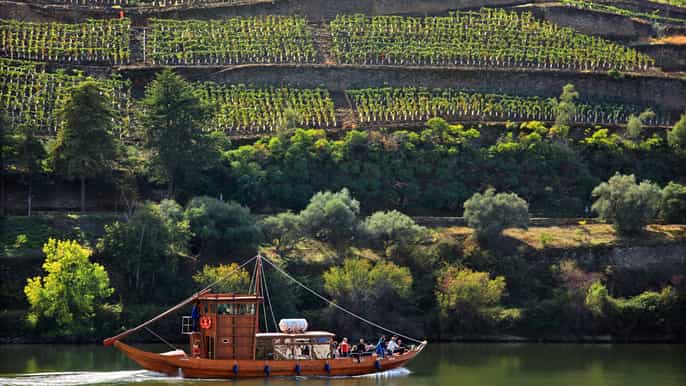 from peso da régua douro valley wine tasting tour cruise