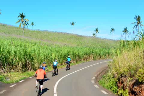 Chamarel Village: Full-Day Electro-Bike Tour with Lunch