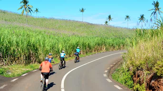 chamarel village fullday electrobike tour with lunch