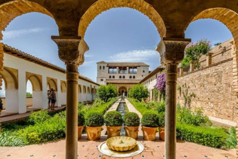 Granada: Tour dell&#039;Alhambra e dei Palazzi Nasridi senza biglietto