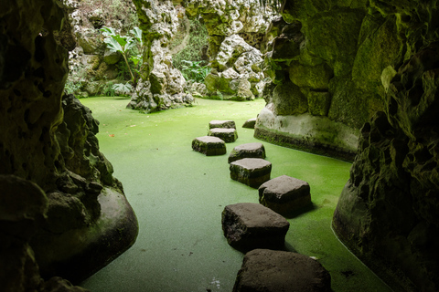 Ab Lissabon: Privater Tagesausflug nach Sintra und Quinta da Regaleira