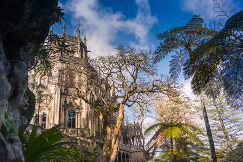 De Lisbonne: excursion privée d'une journée à Sintra et Quinta da Regaleira