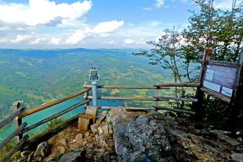 Z Belgradu: Tara National Park i Drina River Valley TourWspólna wycieczka