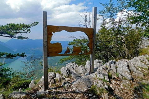 De Belgrade: visite du parc national de Tara et de la vallée de la DrinaTour partagé