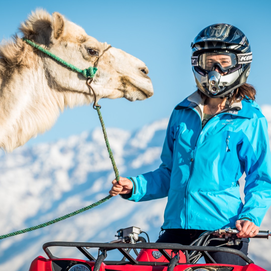 Désert d'Agafay : Aventure en quad et balade à dos de chameau - quad