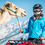 Agafay Desert Quad Bike and Camel Ride Adventure Tour