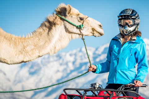 Deserto de Agafay: Aventura de Quadriciclo e CameloMarrakech: Aventura de Quadriciclo e Camelo