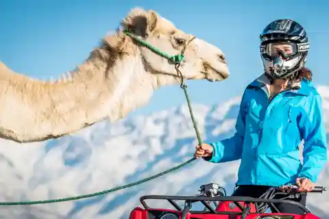 Agafay Desert: Quad Bike and Camel Ride Adventure Tour