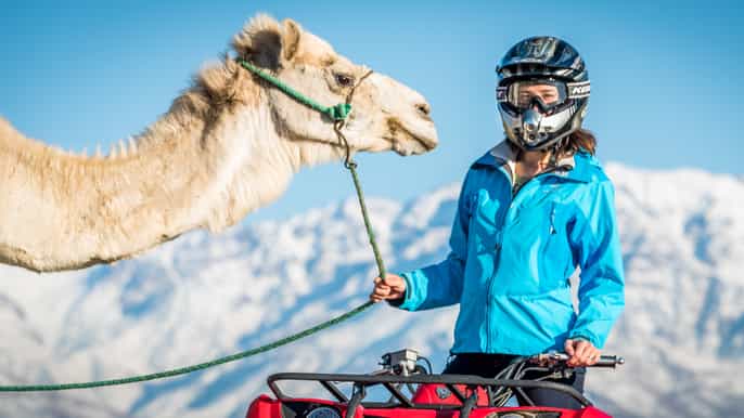 marrakech quad bike and camel ride adventure tour