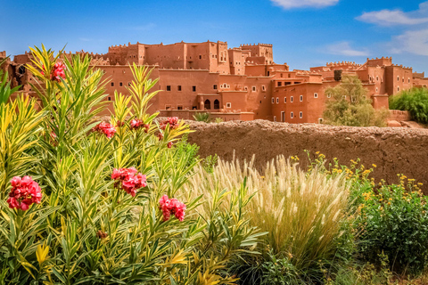 4-Day Private Desert Trip to Zagora & Merzouga From Agadir
