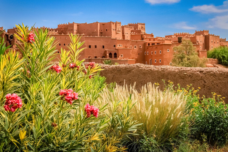 4-Day Private Desert Trip to Zagora & Merzouga From Agadir