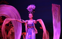 Xi'an Night Great Tang Dynasty Show option Dumpling Dinner - Housity