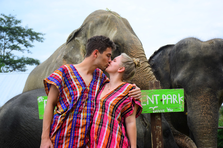 Chiang Mai: Private Elephant Care Experience for Couples