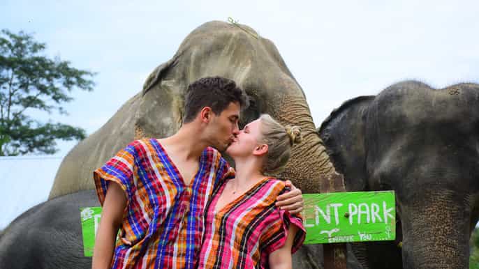 chiang mai experiencia privada de cuidado de elefantes para parejas