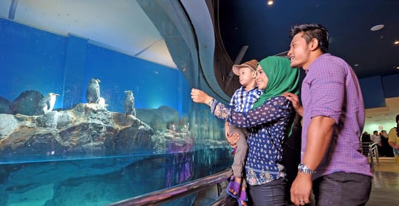 Underwater World Langkawi Admission Ticket