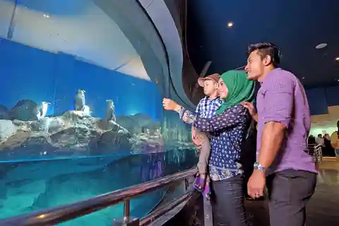 Billet d'entrée pour le monde sous-marin de Langkawi