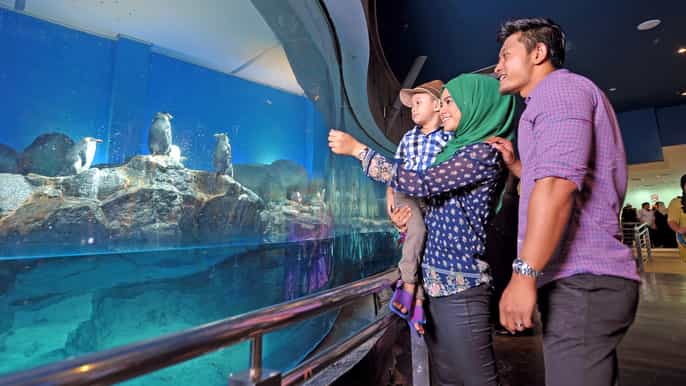 underwater world langkawi admission ticket