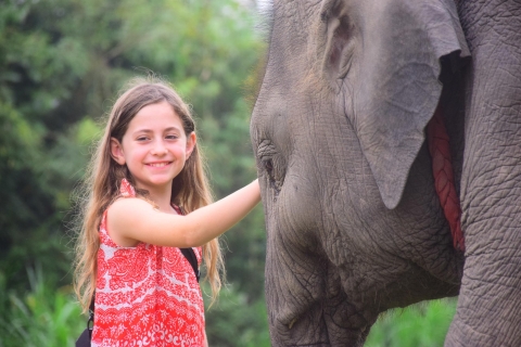 Chiang Mai: verzorgingsprogramma olifantenopvangcentrumOchtend halve dag verzorgingsprogramma olifantenopvang