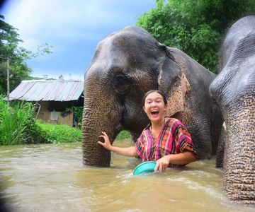 From Chiang Mai: Elephant Care Program and Nursery Tour