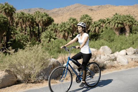 Palm Springs: Indian Canyons Bike and Hike Adventure