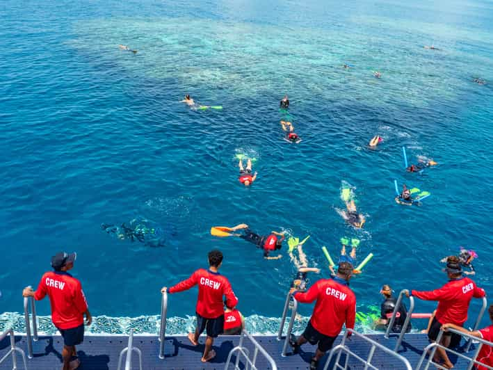 From Cairns Great Barrier Reef Snorkeling Experience GetYourGuide