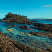 Batemans Bay: Half-Day Sea Kayak Tour