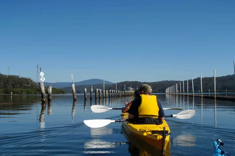 Batemans Bay: Passeio de caiaque com degustação de ostras