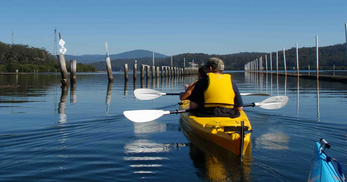 North Batemans Bay Oyster Tasting Kayak Tour GetYourGuide