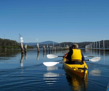 Batemans Bay: Kajaktur med ostronprovning