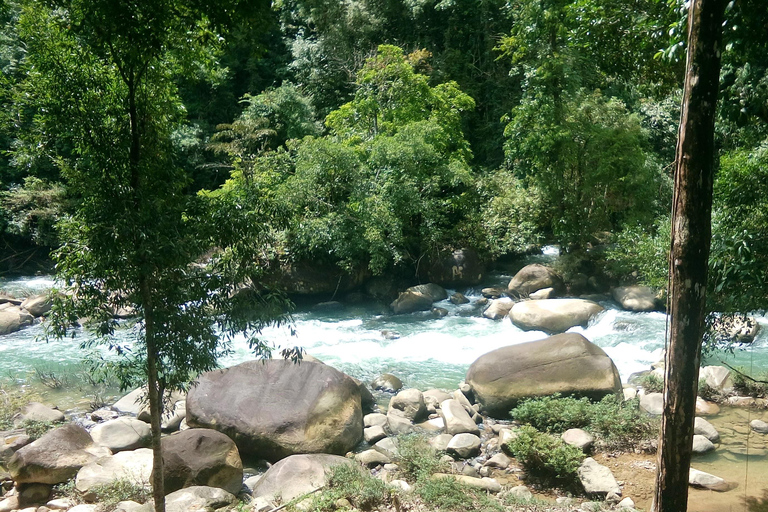 Khao Sok Jungle Day Trip - Jungle Trekking & Bamboo Rafting