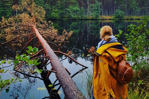 Riga: Halbtägige Wanderung durch die unberührte Natur
