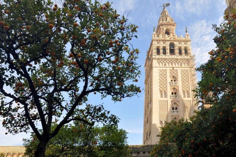 Séville : visite guidée, cathédrale et tour GiraldaVisite en français