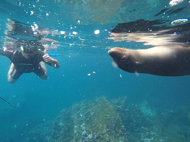 Visit Kicker rock full day in Galapagos Islands